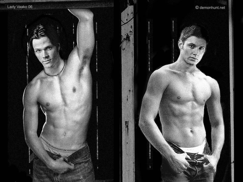 http://i854.photobucket.com/albums/ab101/DirtyGirlMovies/spn_doublepleasure_from_demonhunt-d.jpg