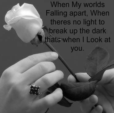 song lyric photo: song lyric rose.jpg