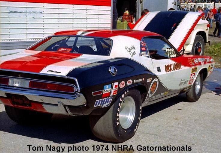 11430090_10207021615278194_3340738855798