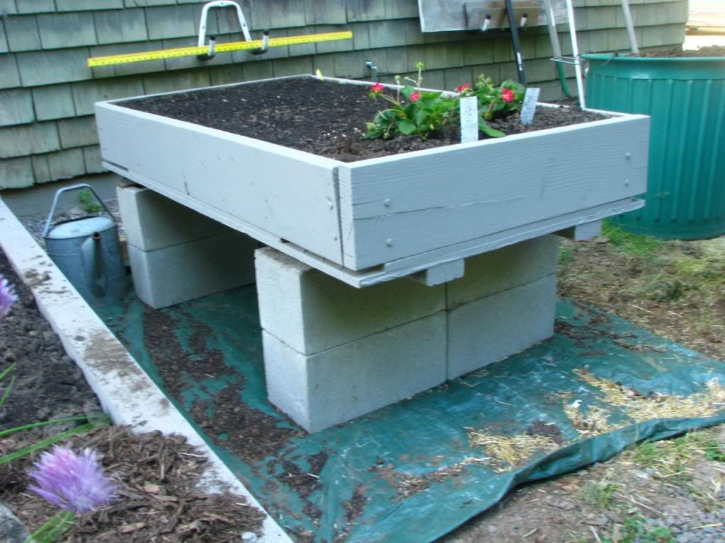 Ideas for raised beds? - Homesteading Questions