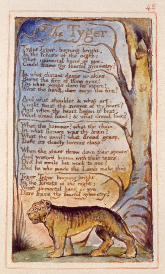 william blake tyger. Blake Tyger middot; william blake