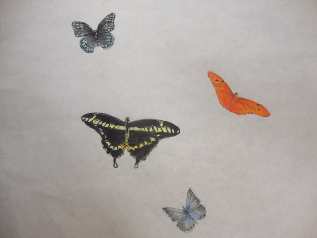 art 127 butterflies 2