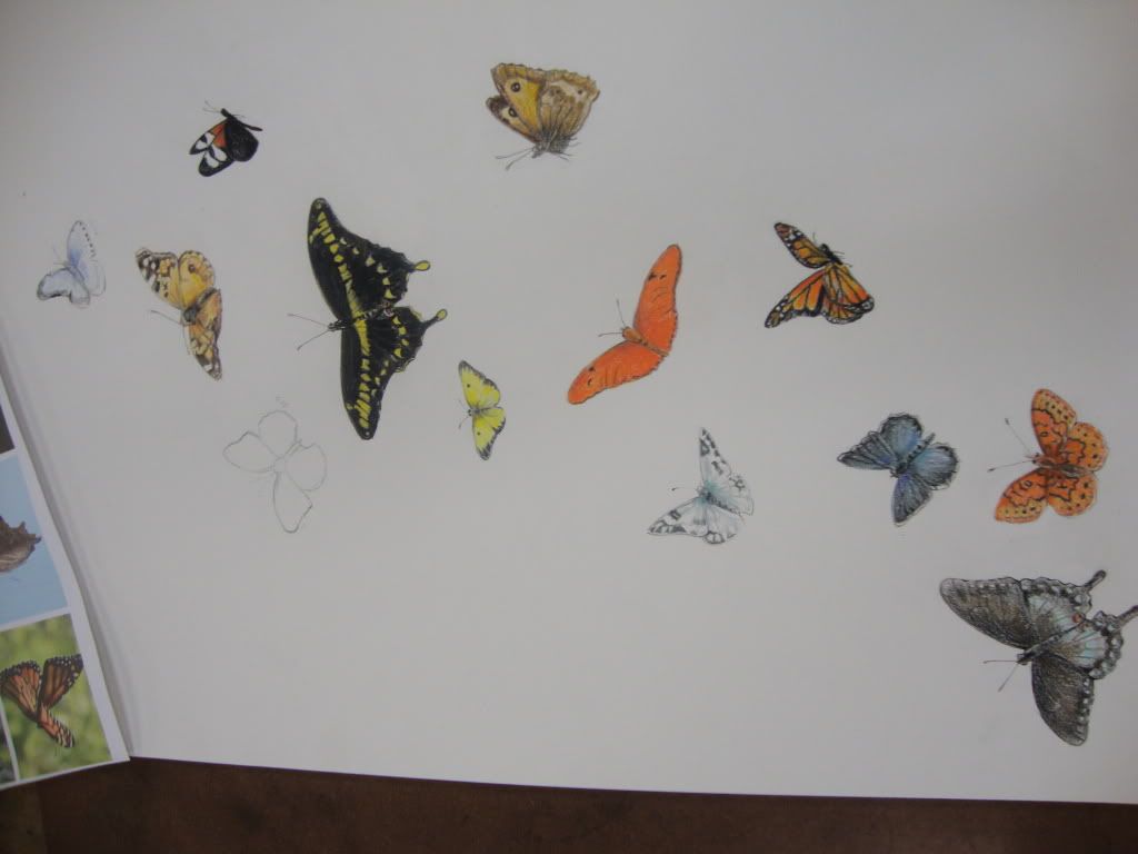 art 127 butterflies1