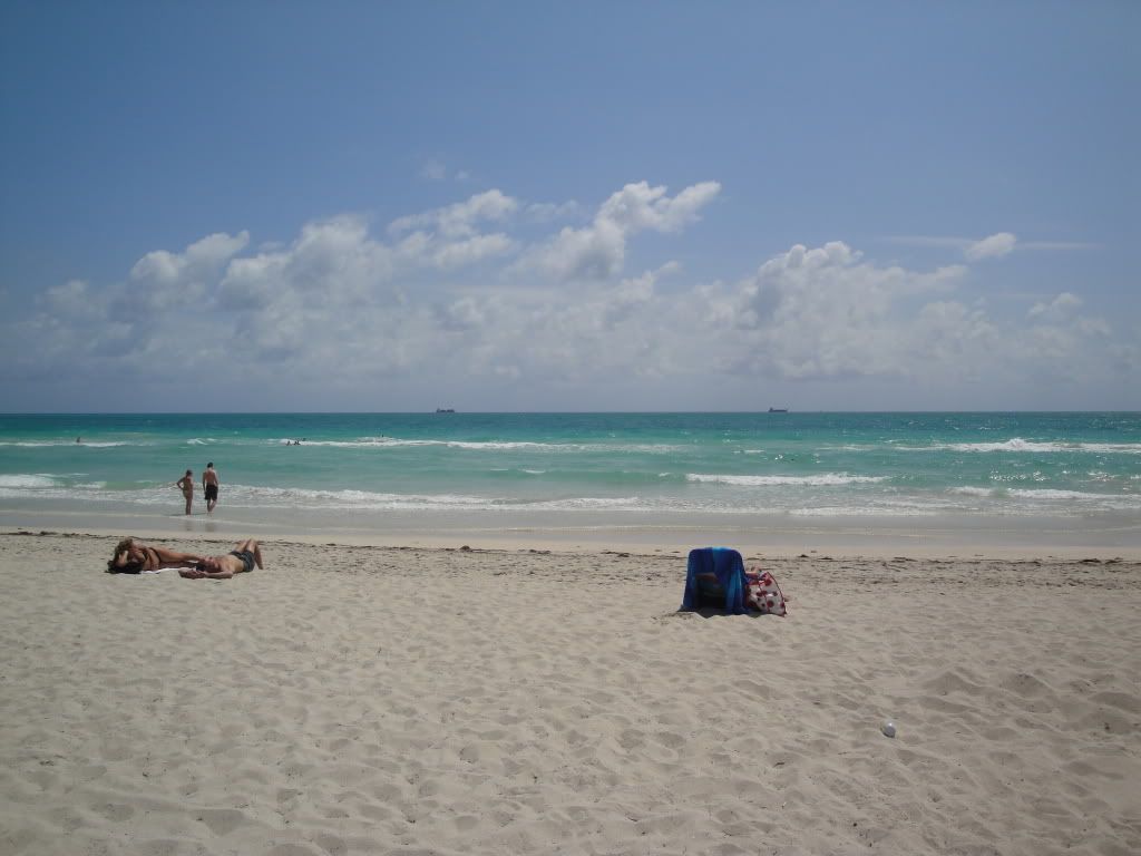 DSC02071.jpg