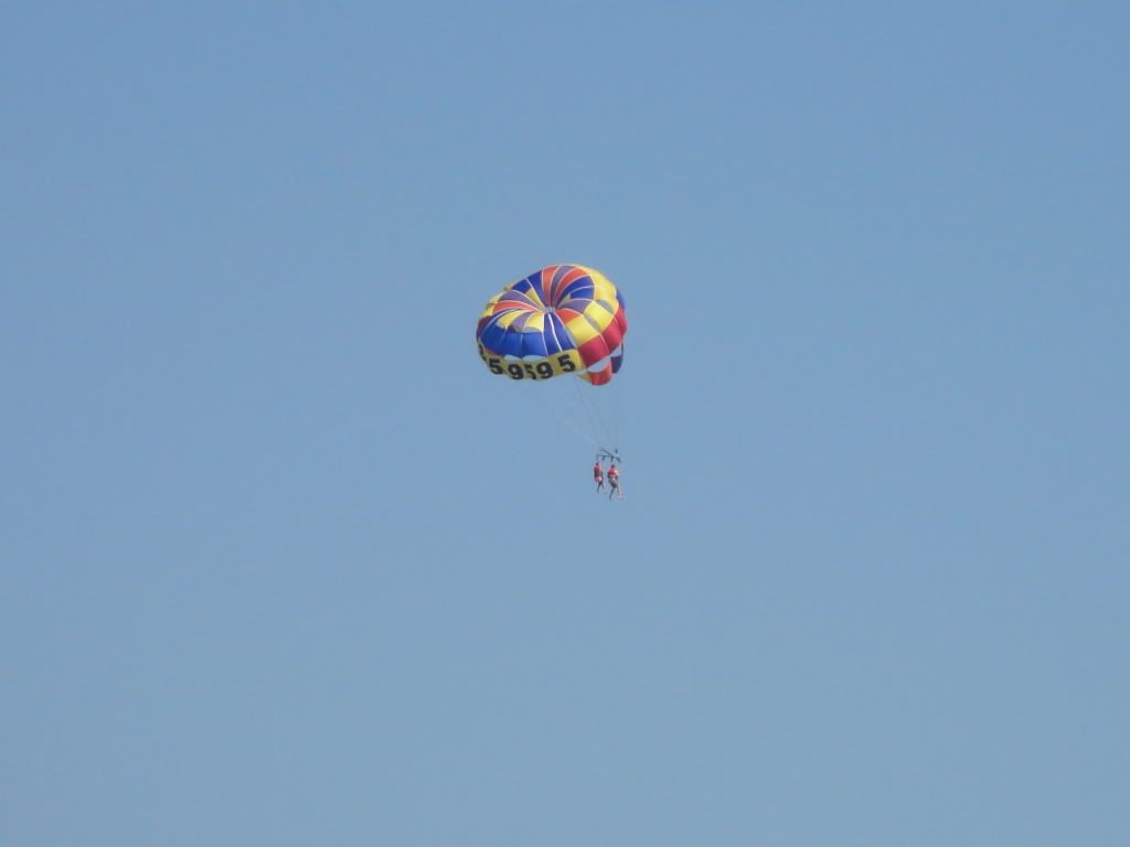 DSC02085.jpg