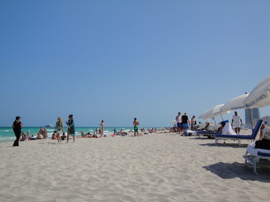 DSC02088.jpg