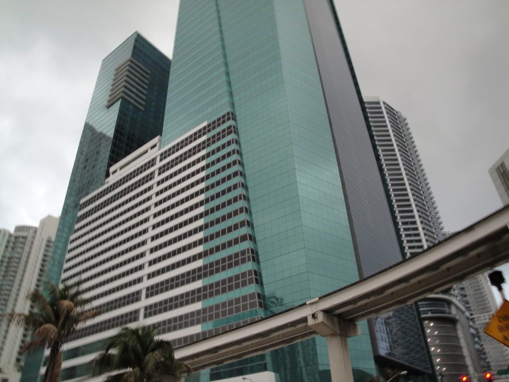 DSC02154.jpg