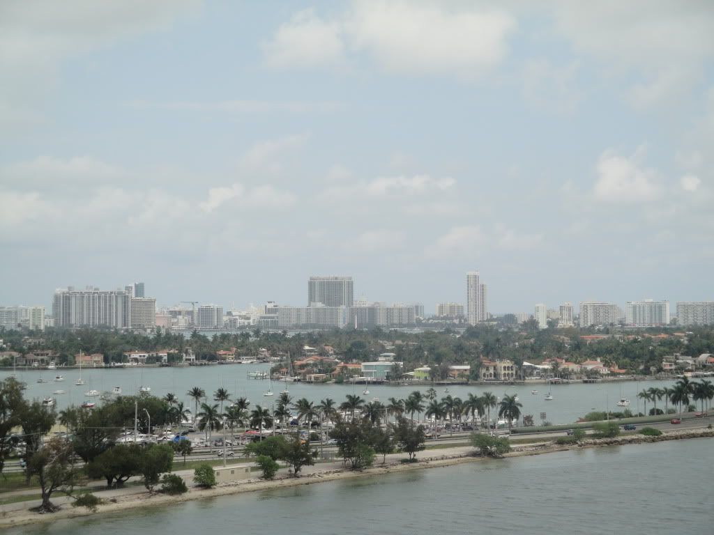 DSC02203.jpg