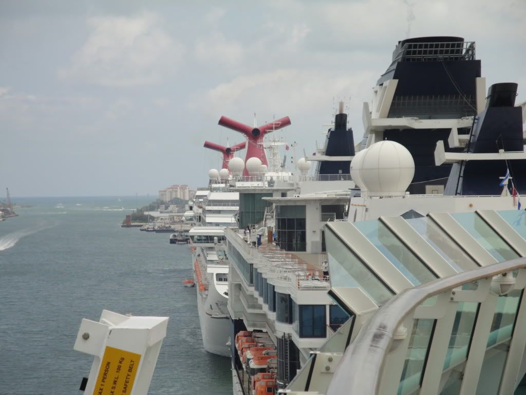 DSC02206.jpg