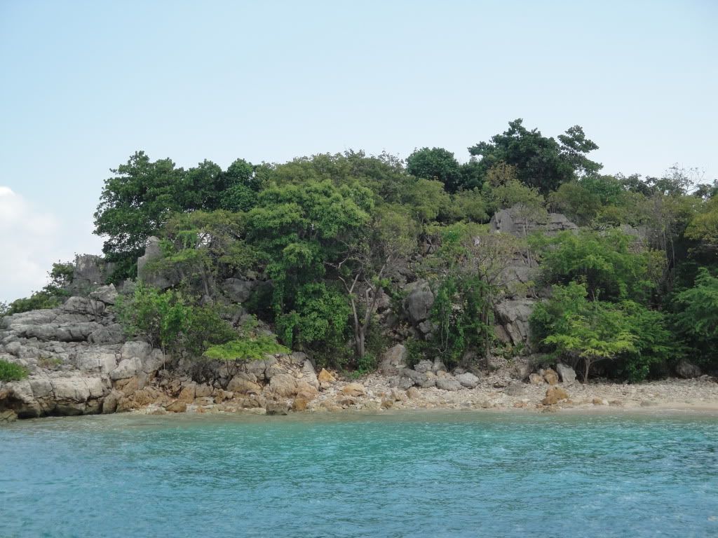 DSC02272.jpg
