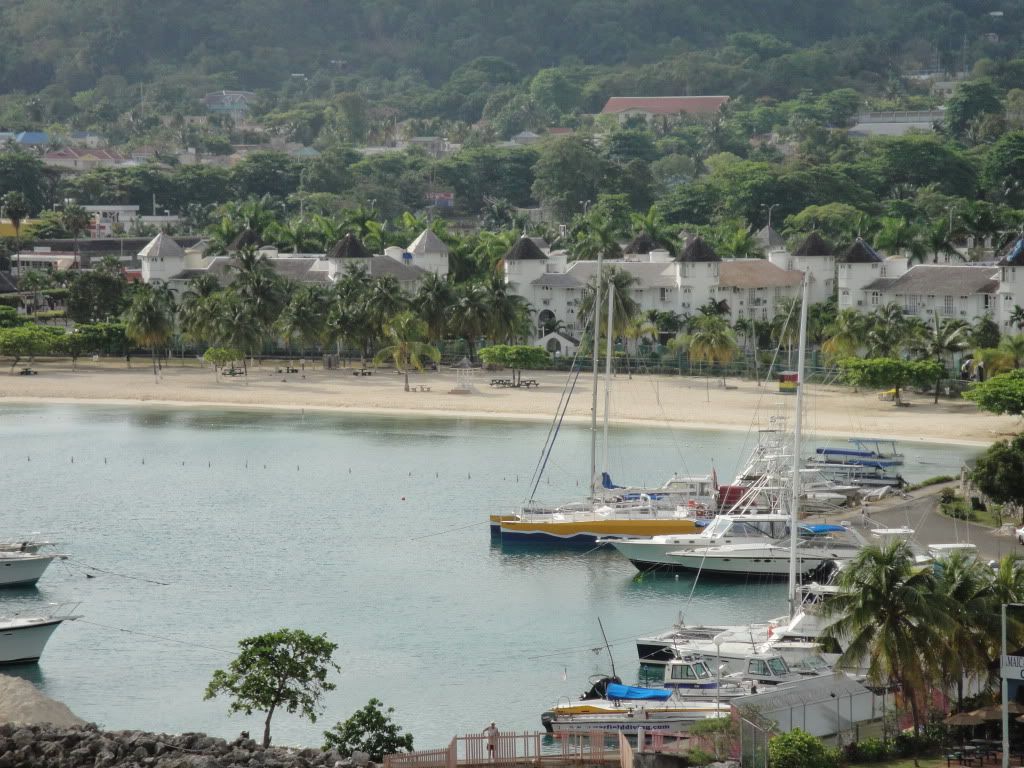 DSC02385.jpg