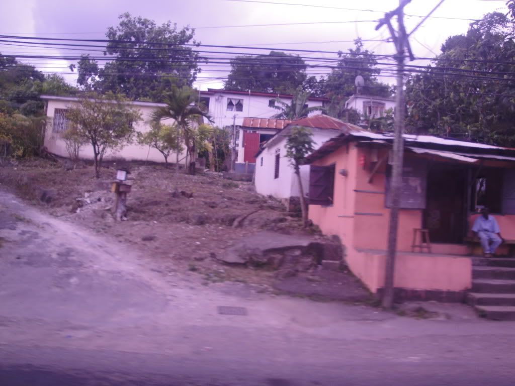DSC02395.jpg