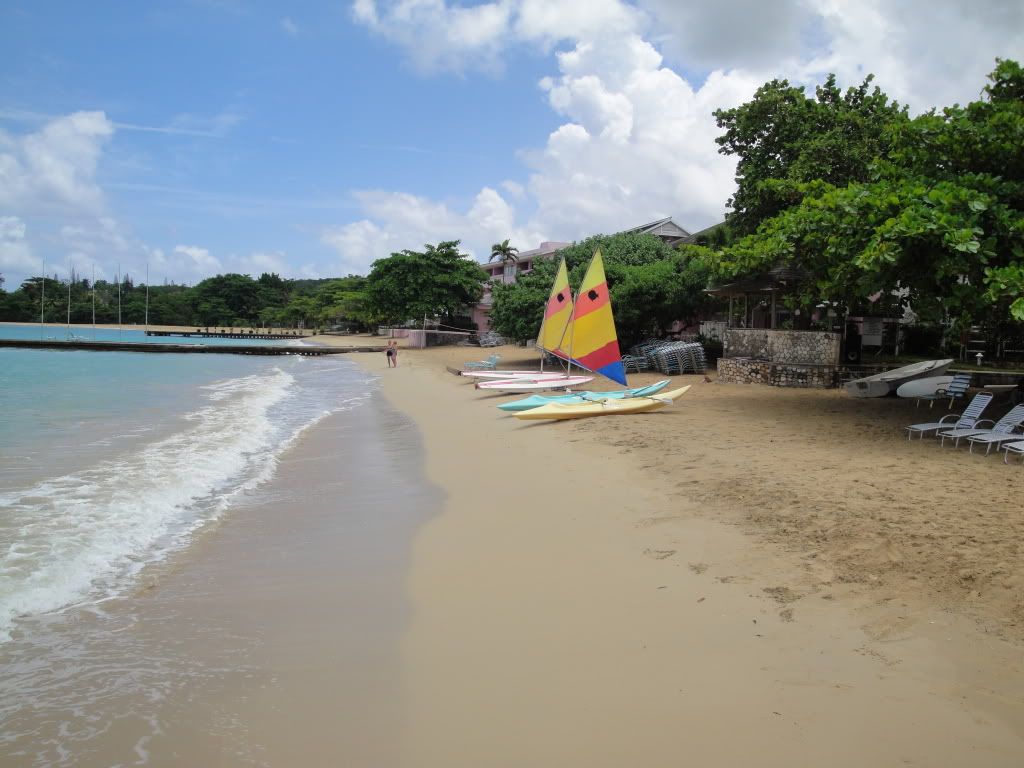 DSC02419.jpg