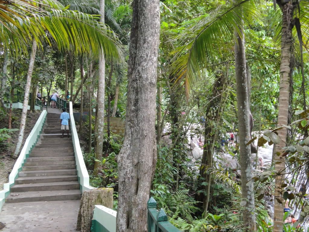 DSC02433.jpg