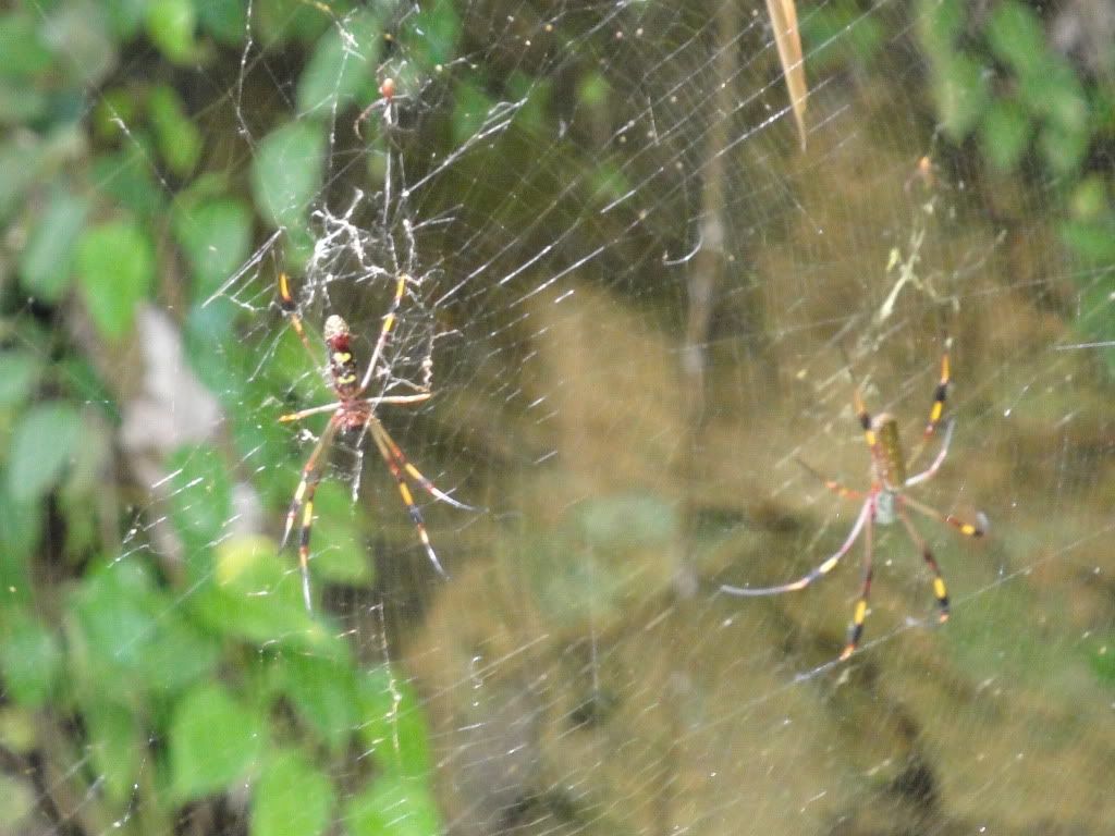 DSC02443.jpg