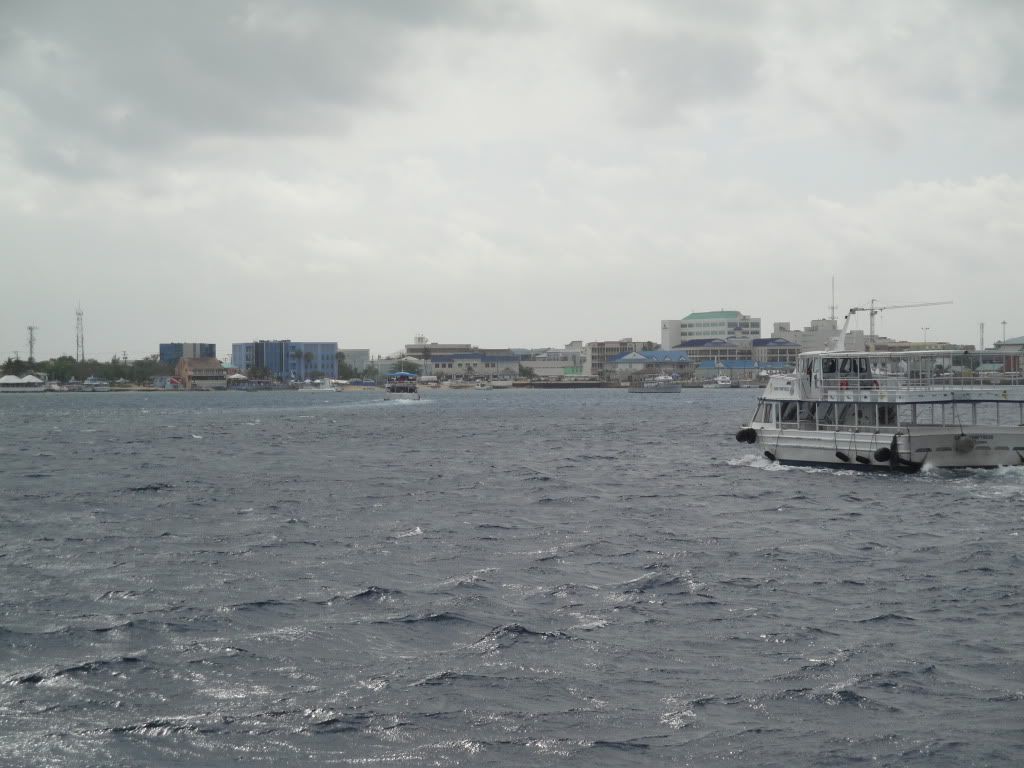 DSC02521.jpg