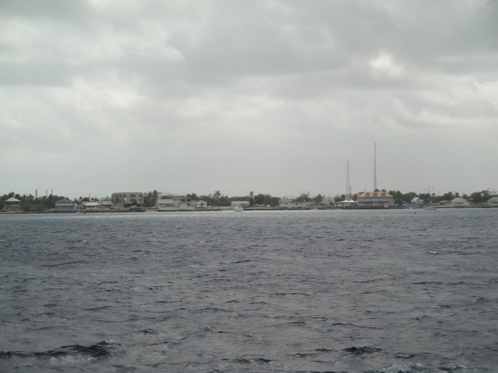 DSC02522.jpg