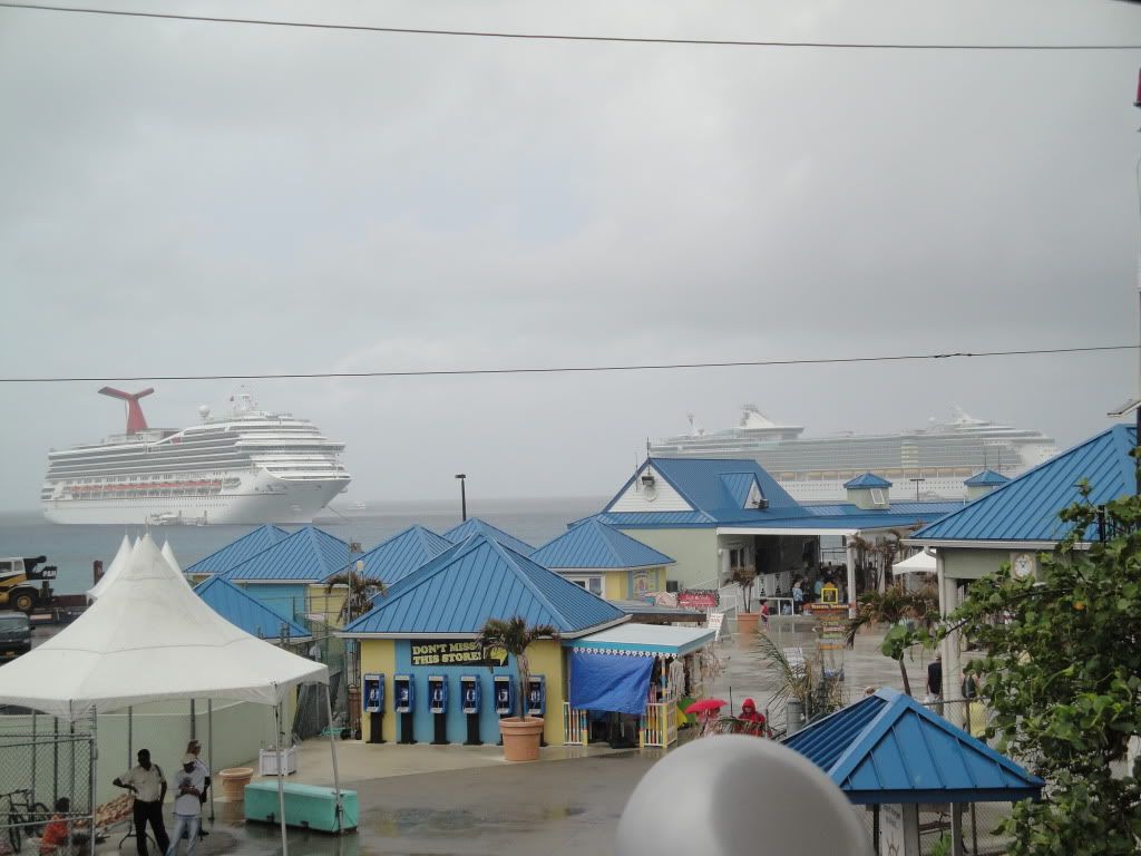DSC02532.jpg