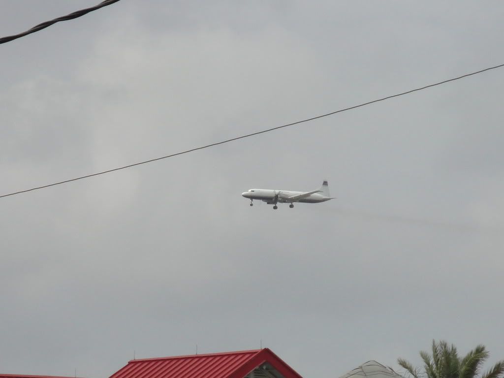 DSC02538.jpg