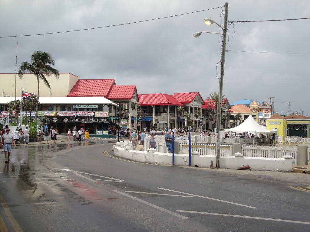 DSC02541.jpg