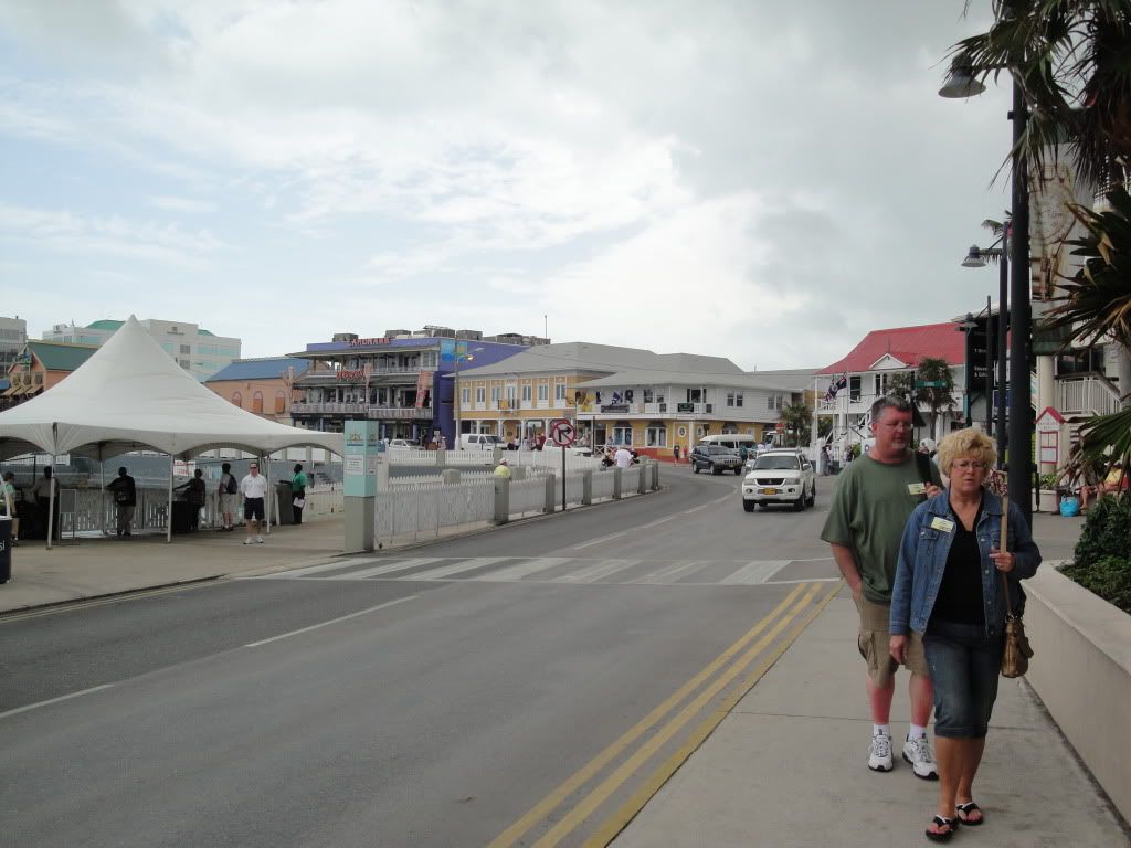 DSC02550.jpg