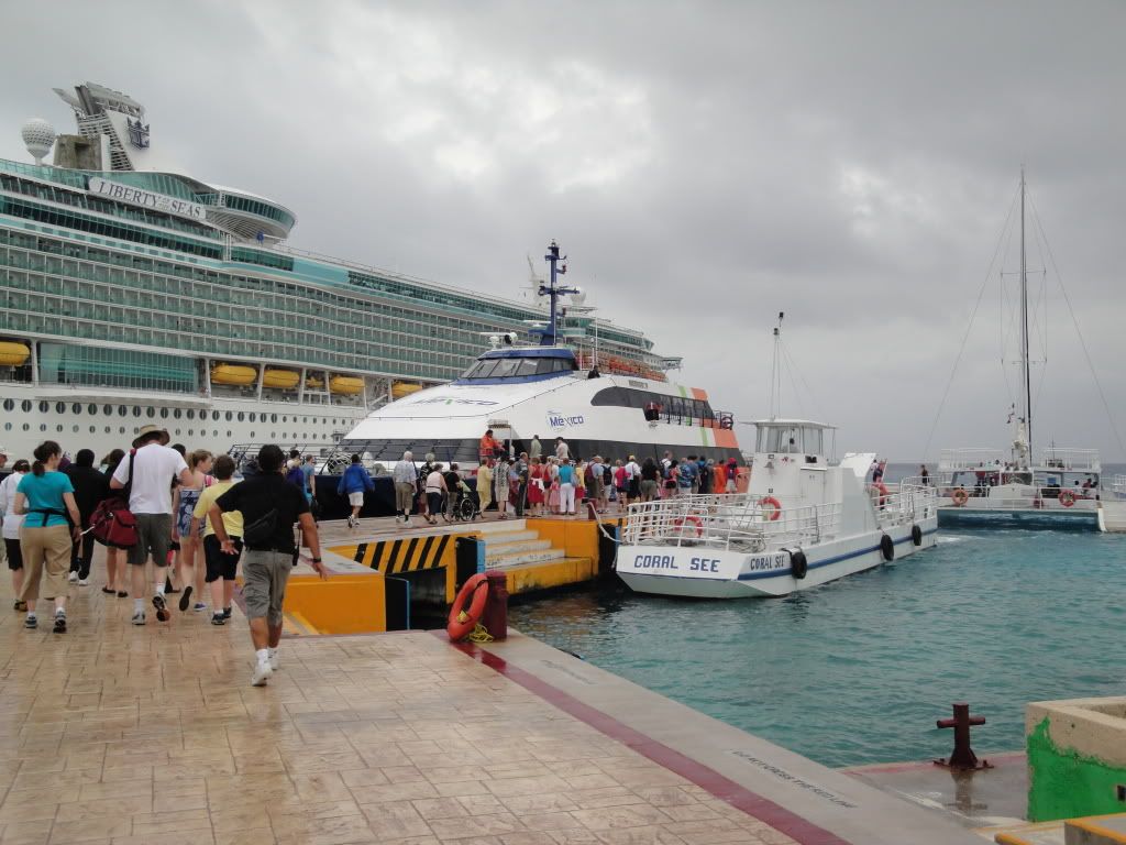 DSC02642.jpg
