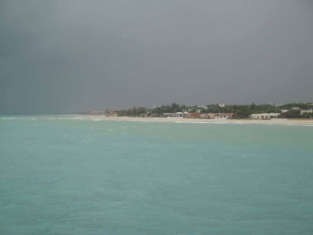 DSC02647.jpg