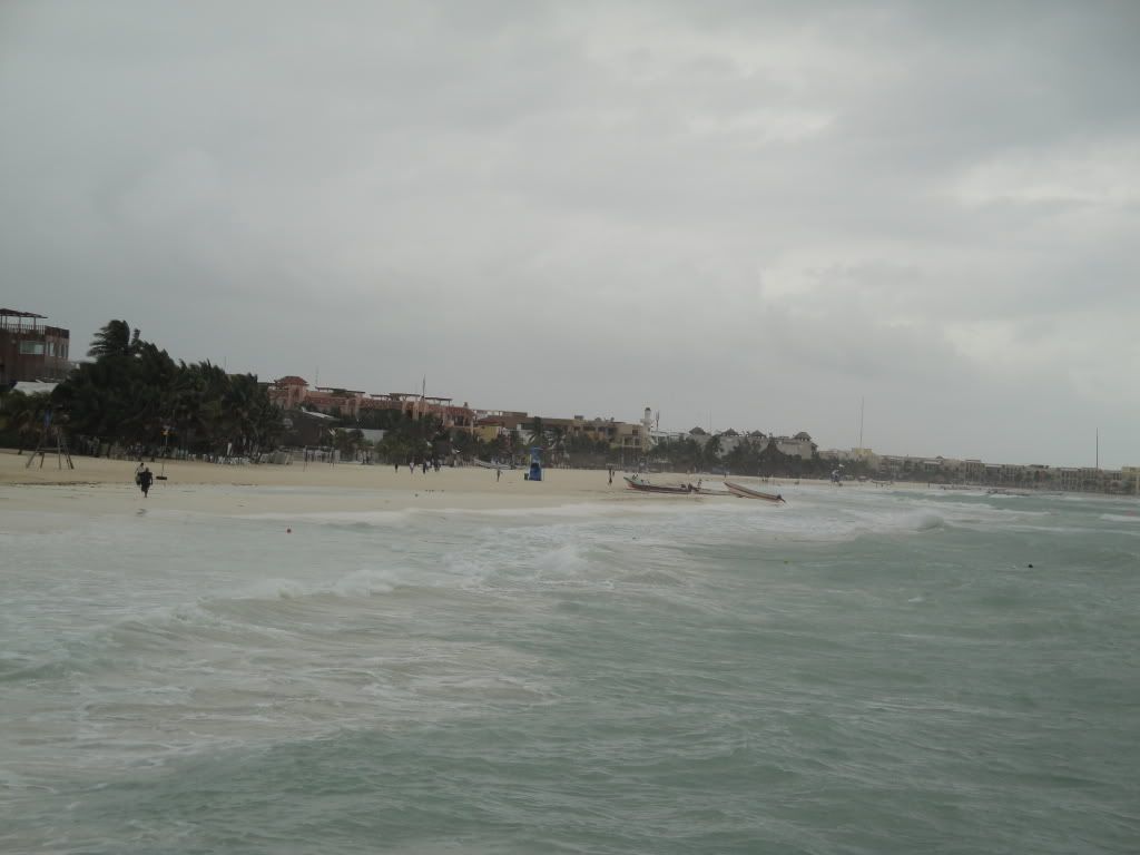 DSC02651.jpg
