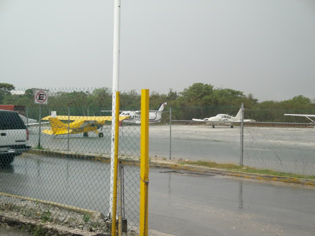 DSC02653.jpg