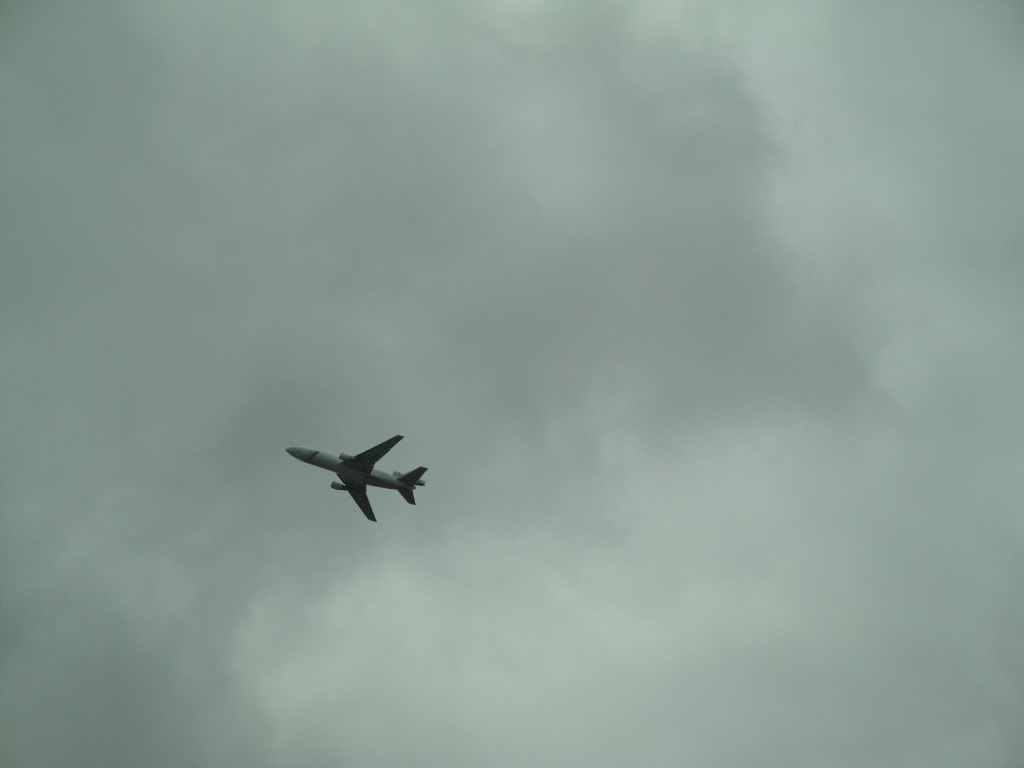 DSC02698.jpg