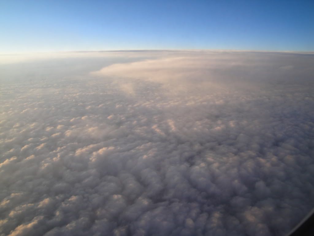 DSC02792.jpg