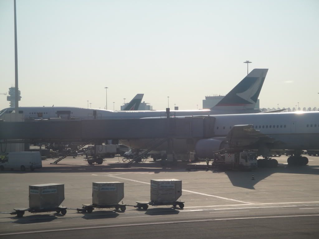 DSC02824.jpg
