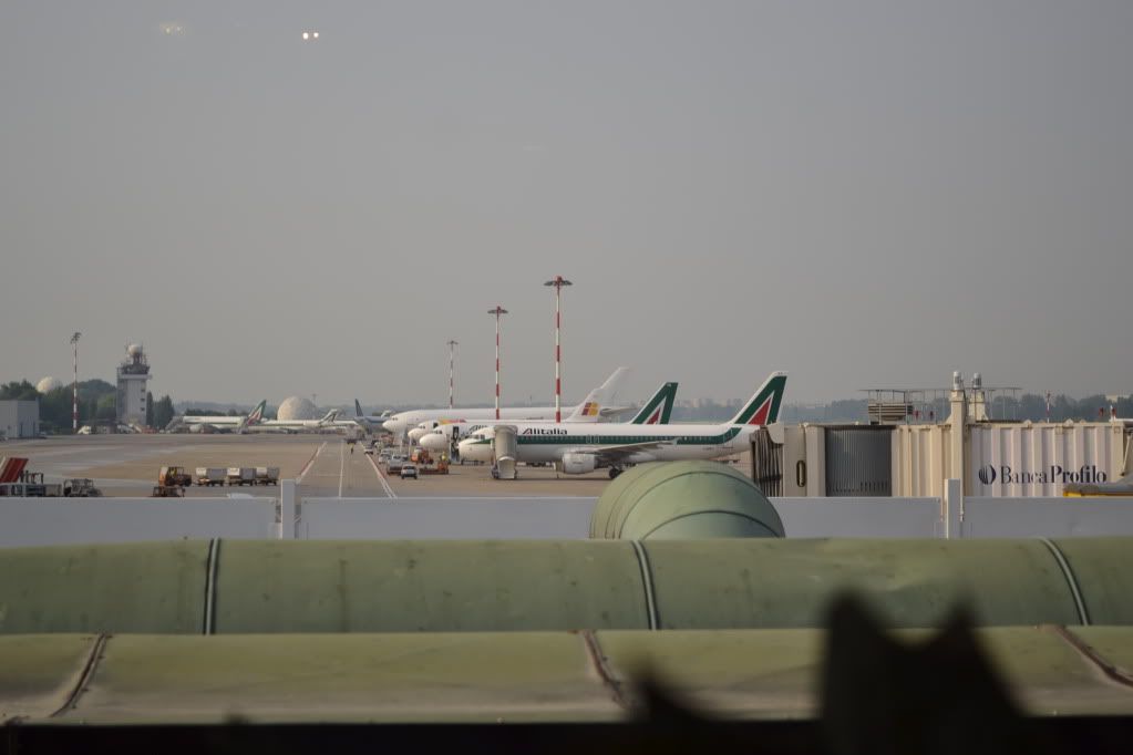 DSC_0014.jpg