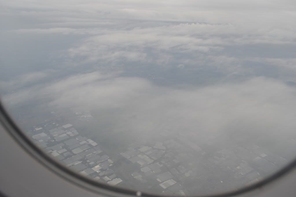 DSC_0045.jpg
