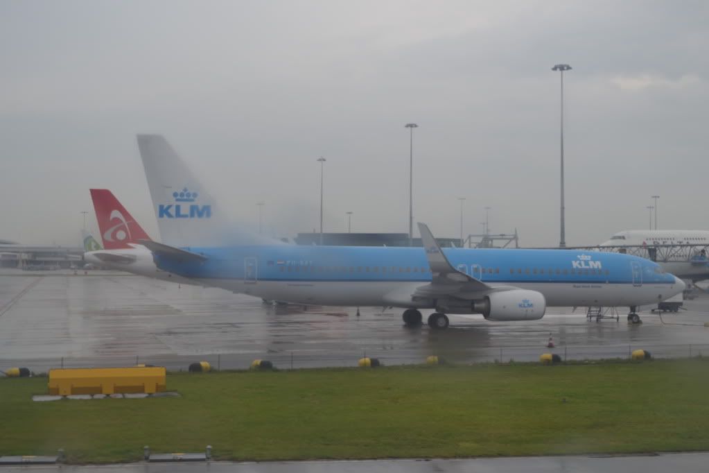 DSC_0050.jpg