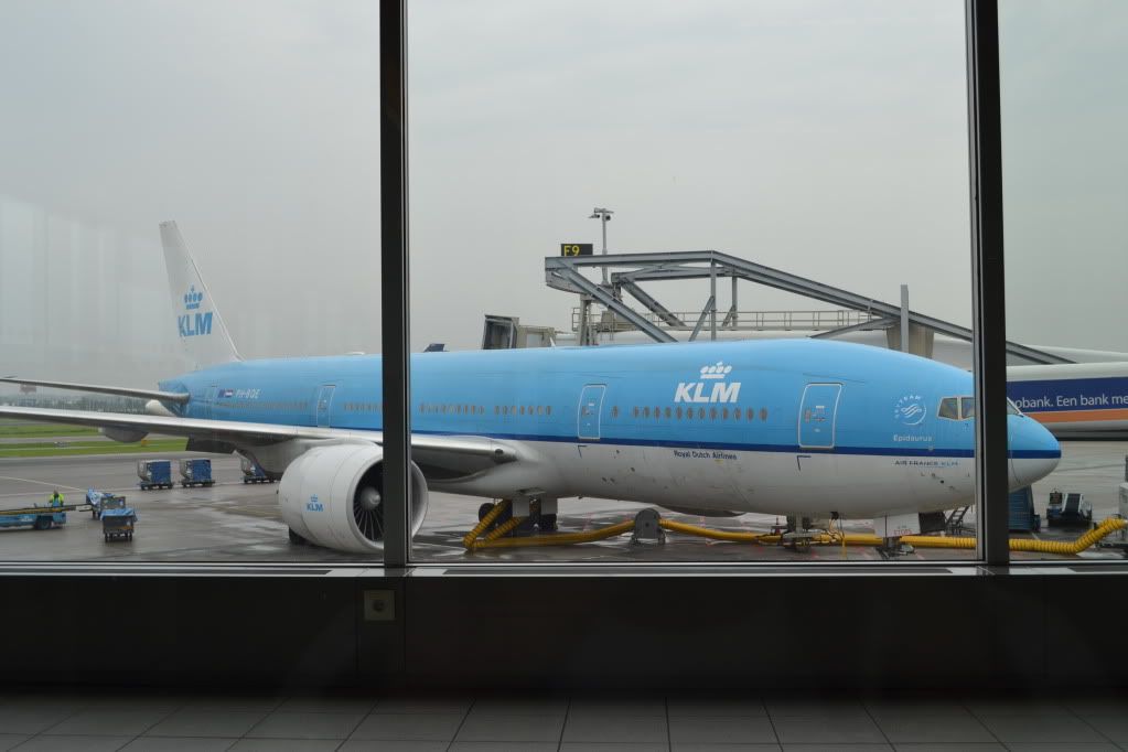 DSC_0100.jpg