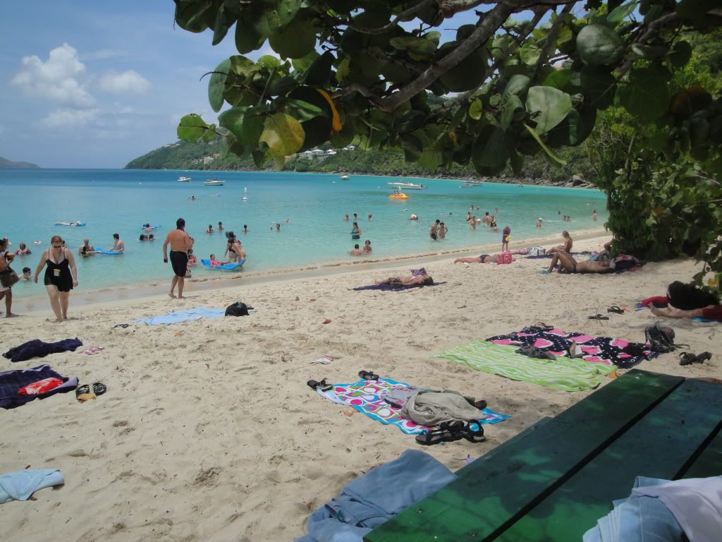 DSC06806.jpg