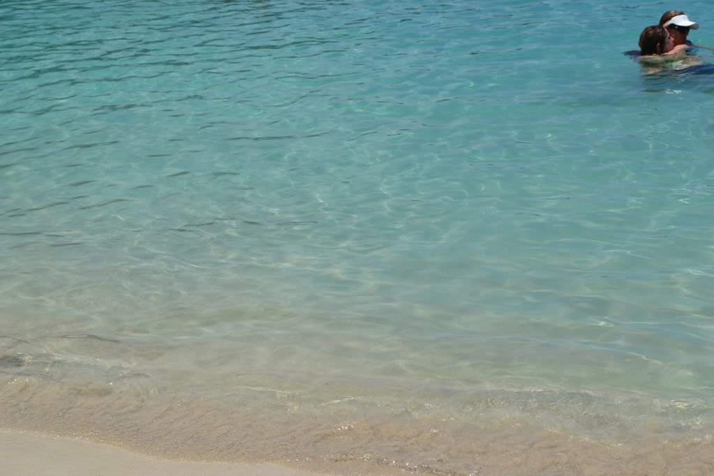 DSC_0440.jpg