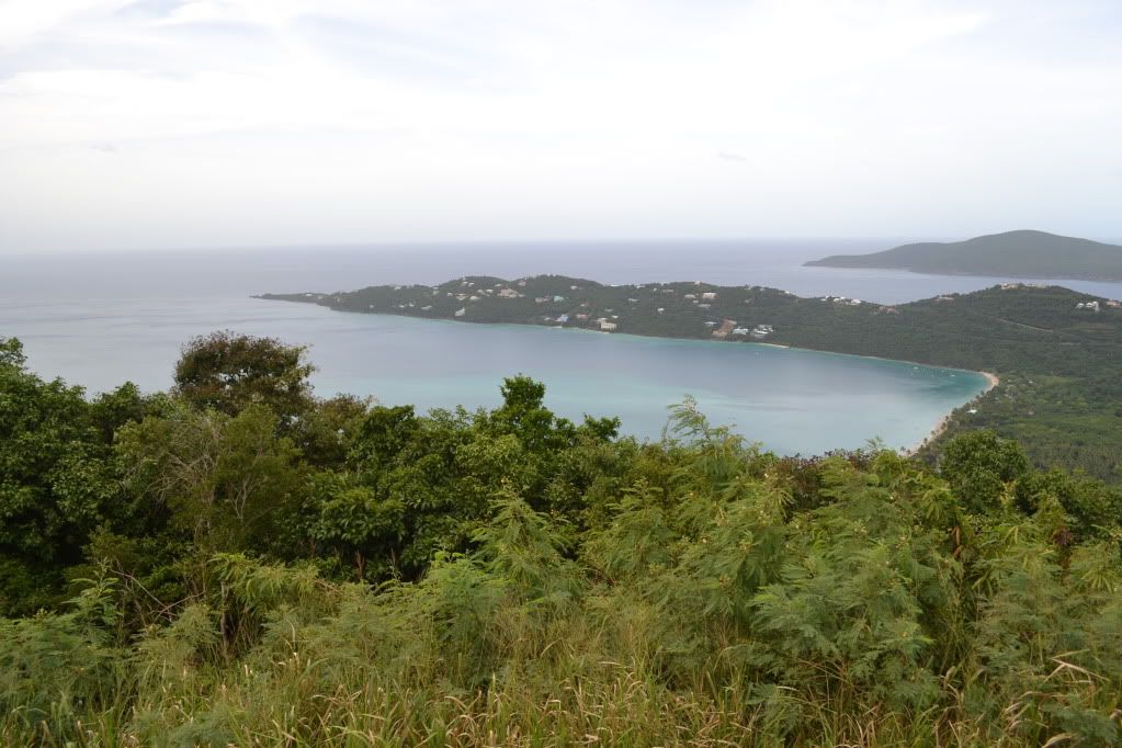 DSC_0442.jpg