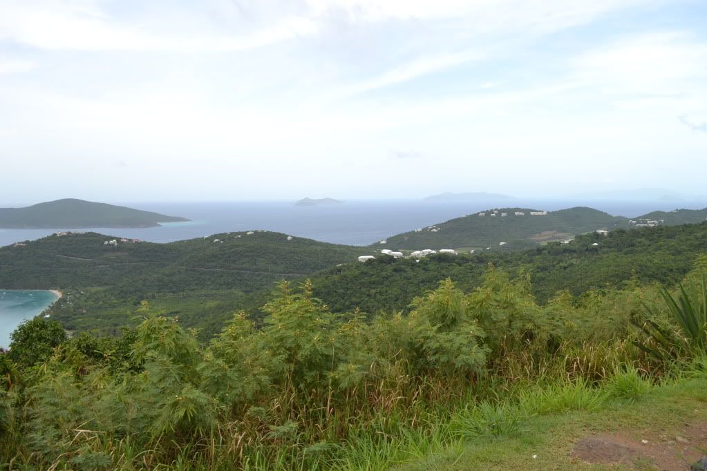 DSC_0443.jpg