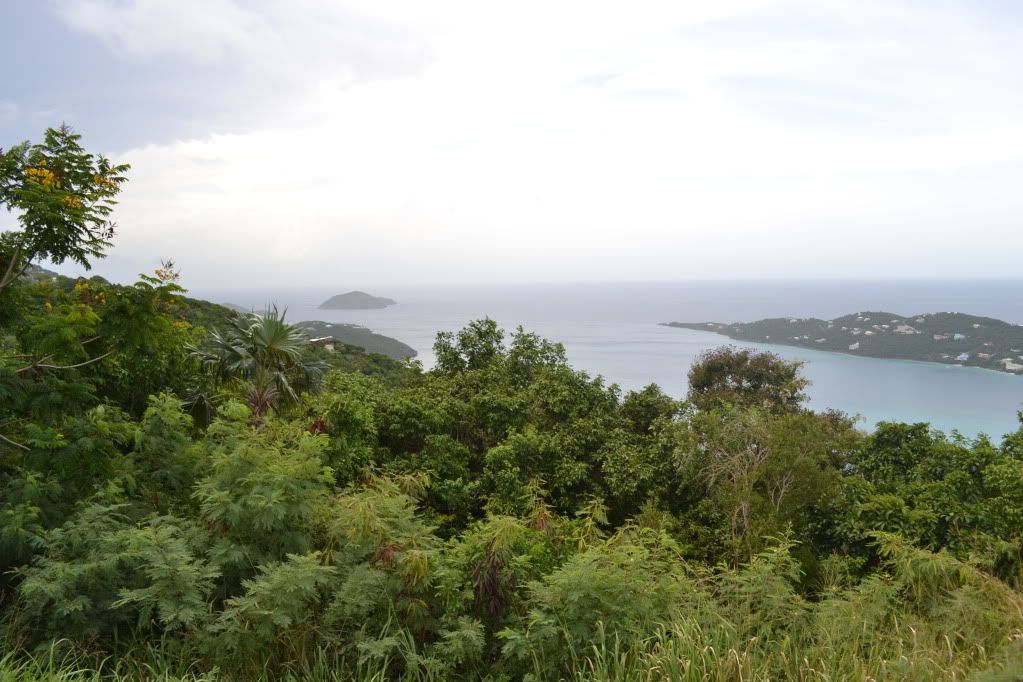 DSC_0444.jpg