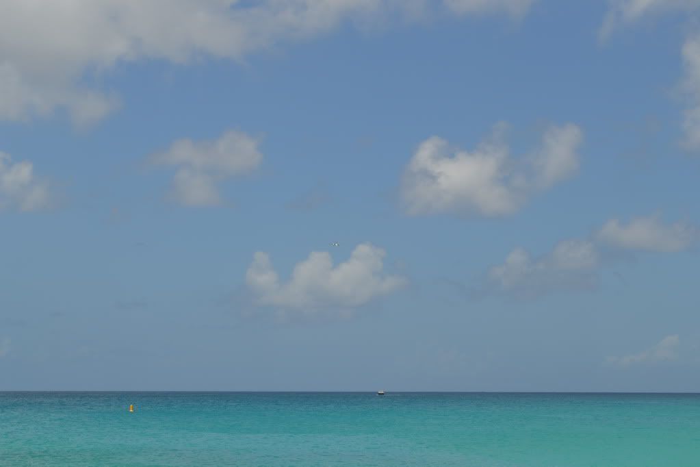 DSC_0491.jpg