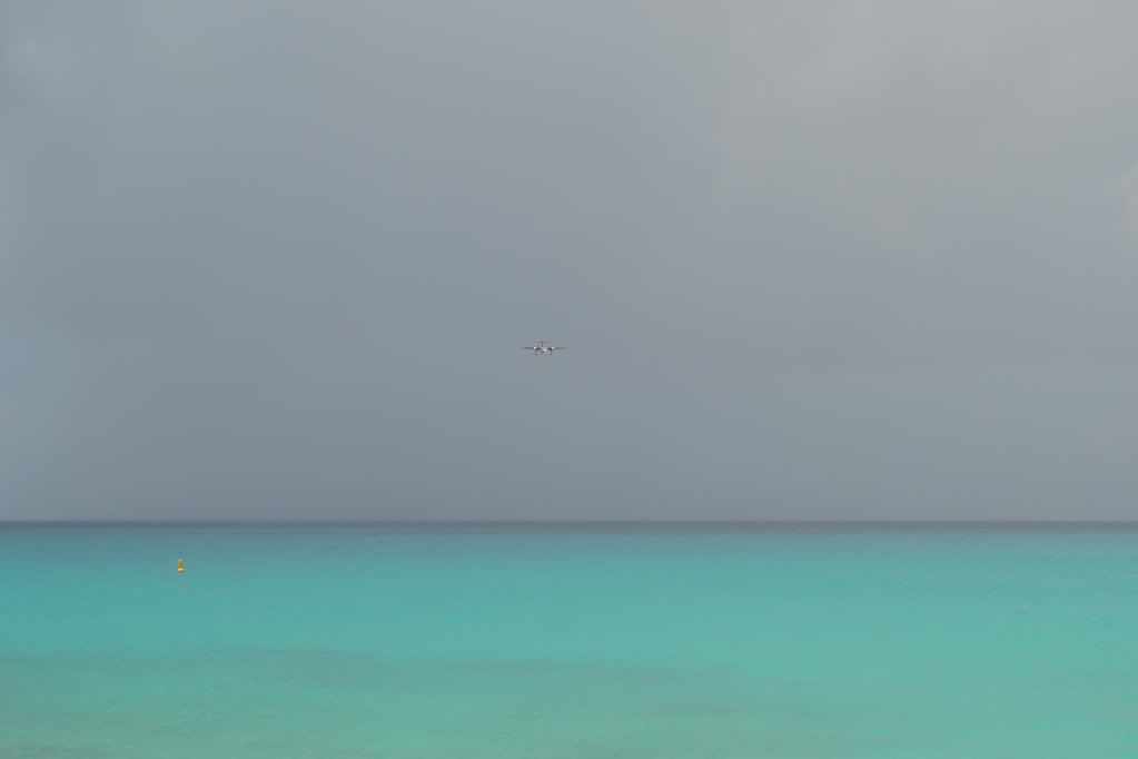 DSC_0495.jpg