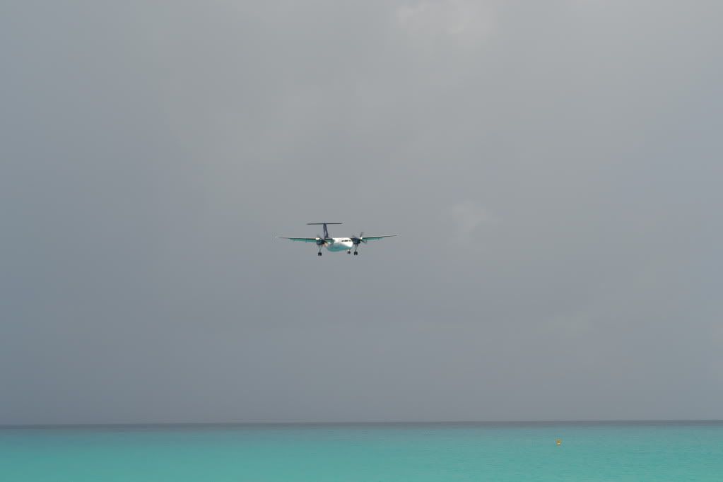 DSC_0497.jpg