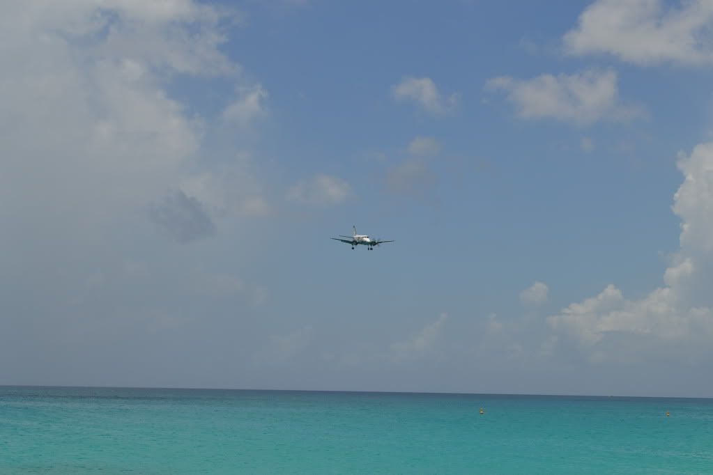 DSC_0501.jpg