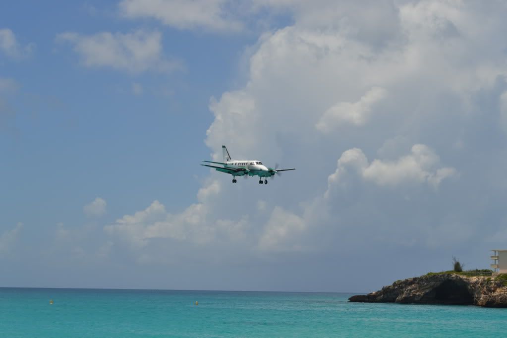 DSC_0502.jpg