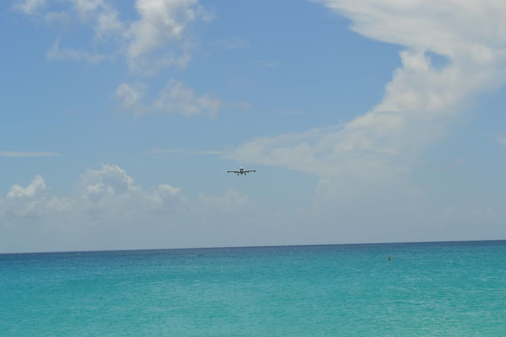DSC_0529.jpg