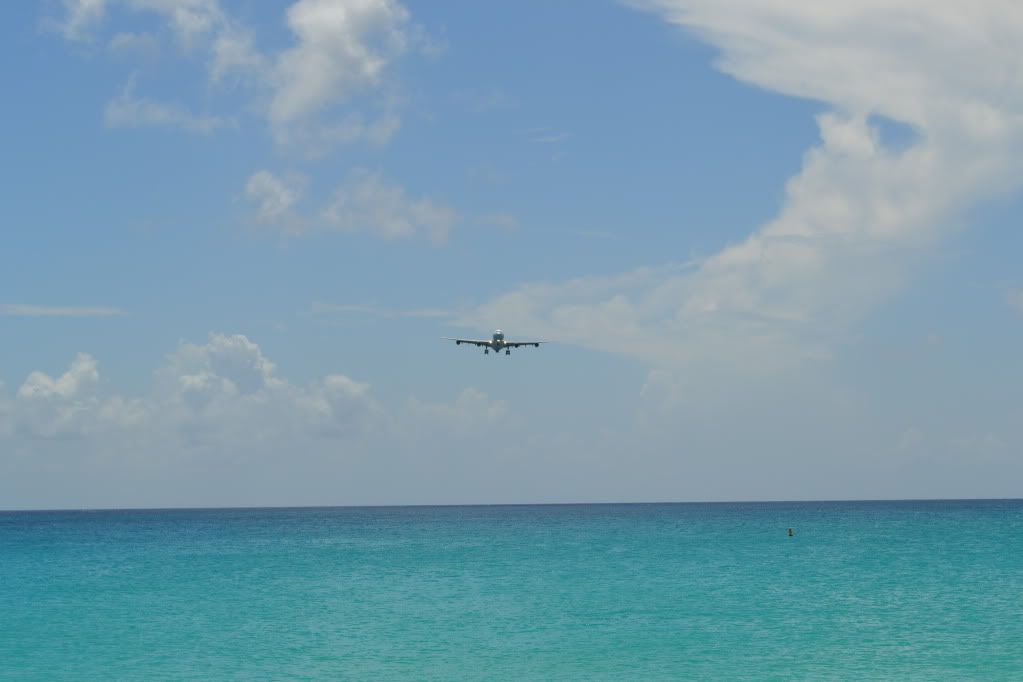 DSC_0530.jpg