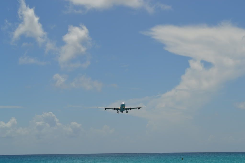 DSC_0531.jpg