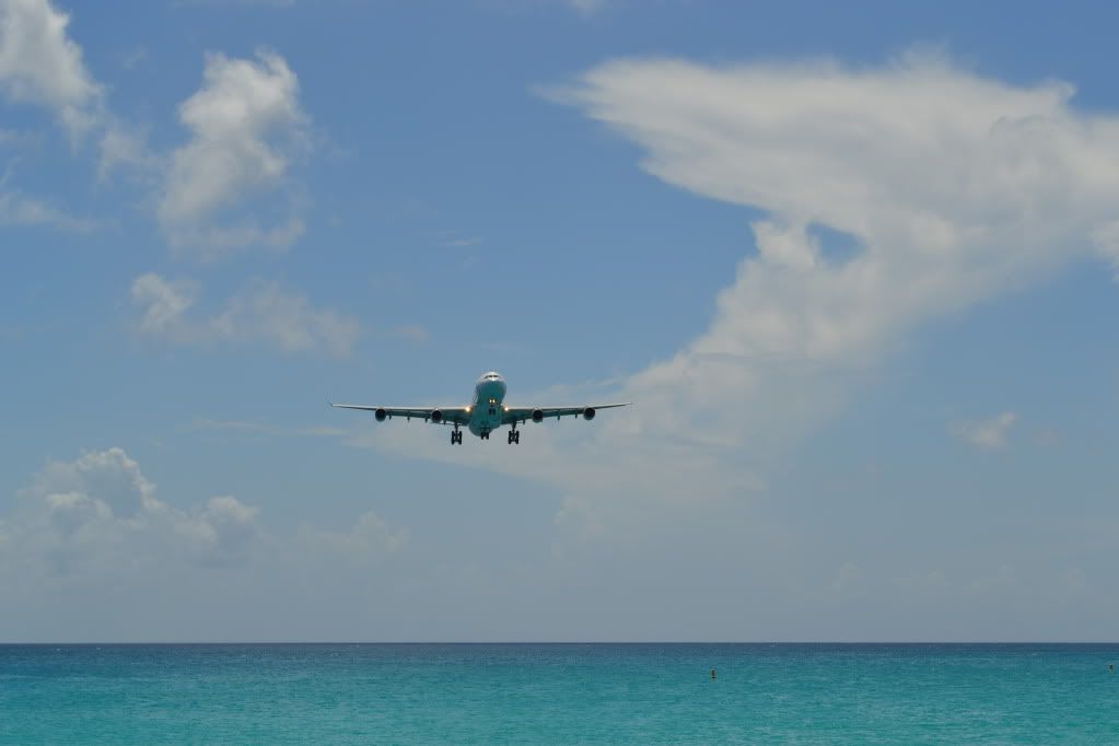 DSC_0532.jpg